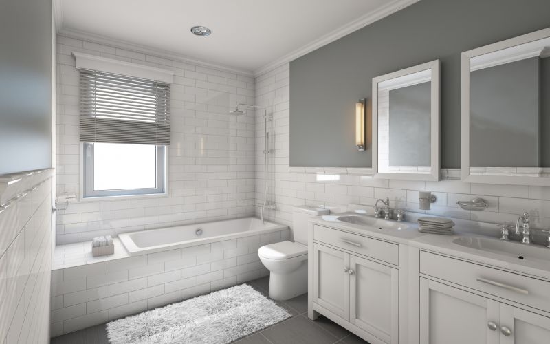 Professional Bathroom Renovation